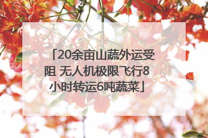 20余亩山蔬外运受阻 无人机极限飞行8小时转运6吨蔬菜